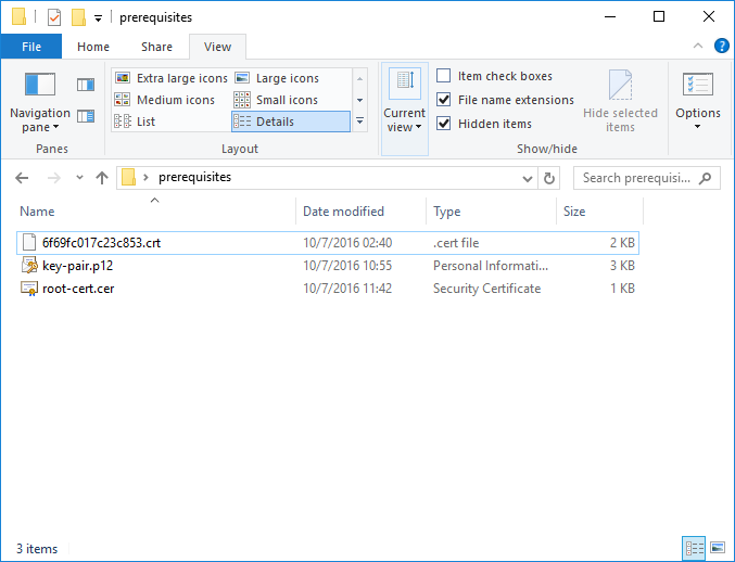 Root Certificate Exported