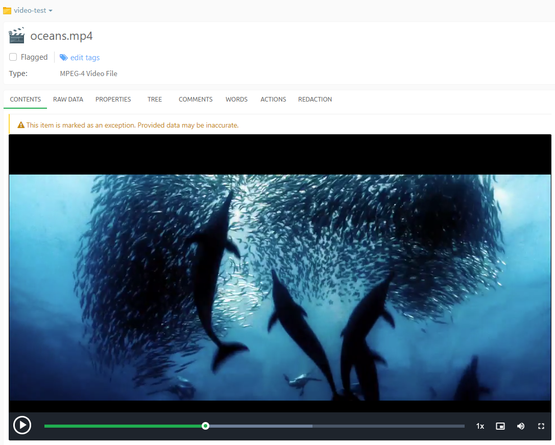 Video player in Previewer